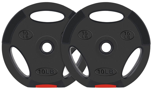 Vinyl Standard 1-Inch Plate Weight Plate for Strength Training and Weightlift...